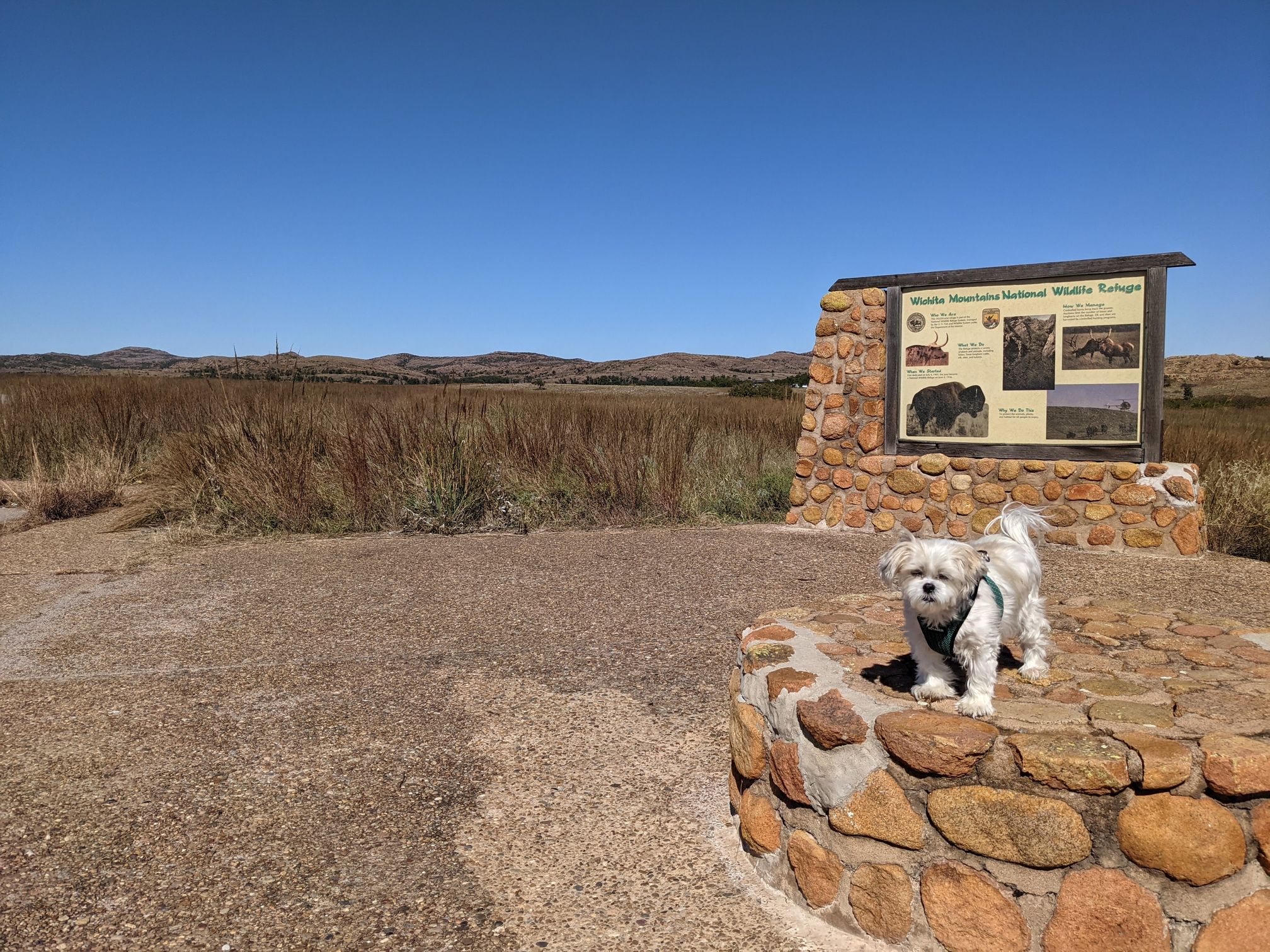 Wichita Mountains National Wildlife Refuge